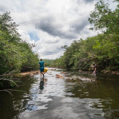 excursiones peces del uruguay